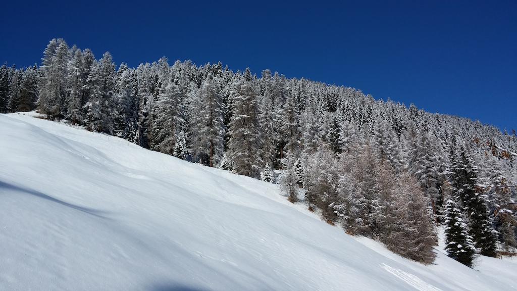 Ferienwohnung Gadenstatt Davos Luaran gambar