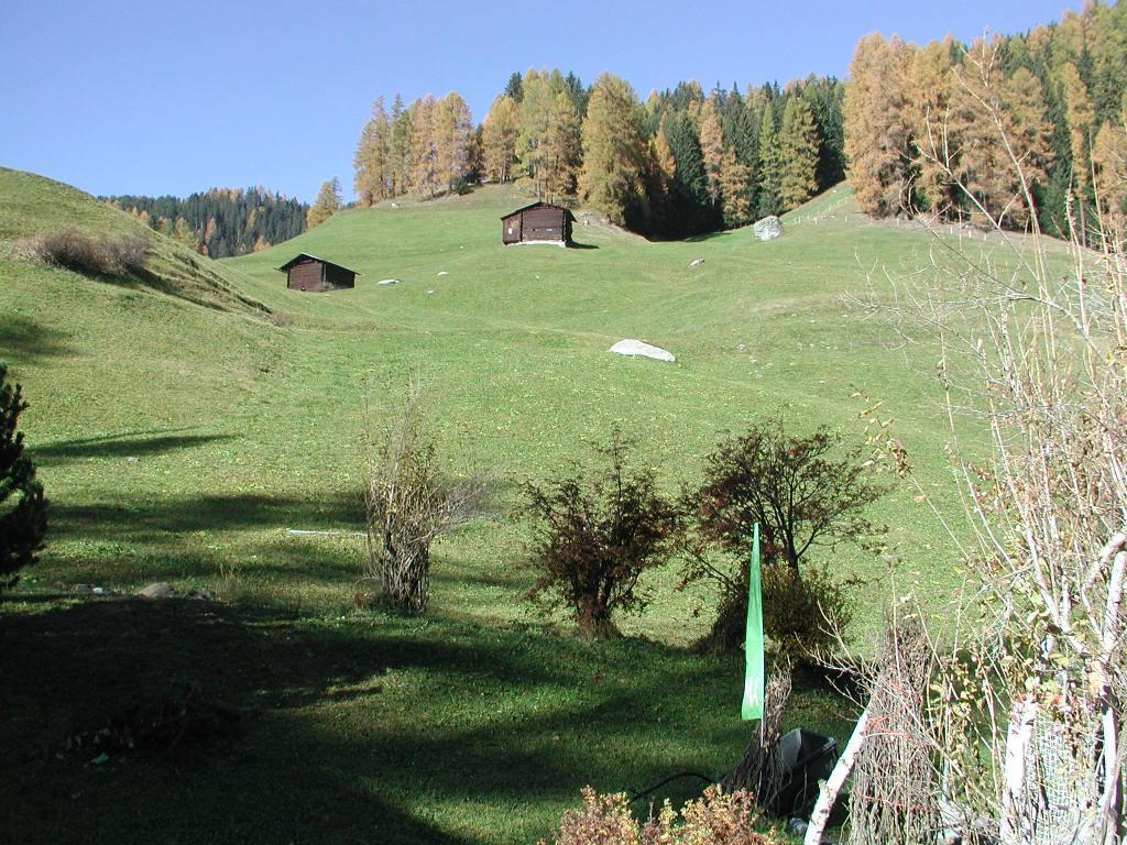 Ferienwohnung Gadenstatt Davos Luaran gambar